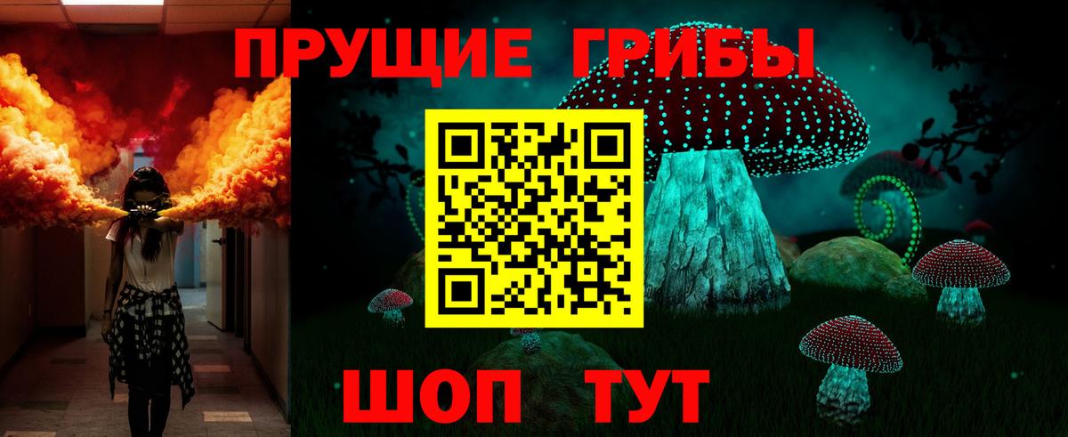 Псилоцибиновые грибы Psilocybine cubensis Ялта